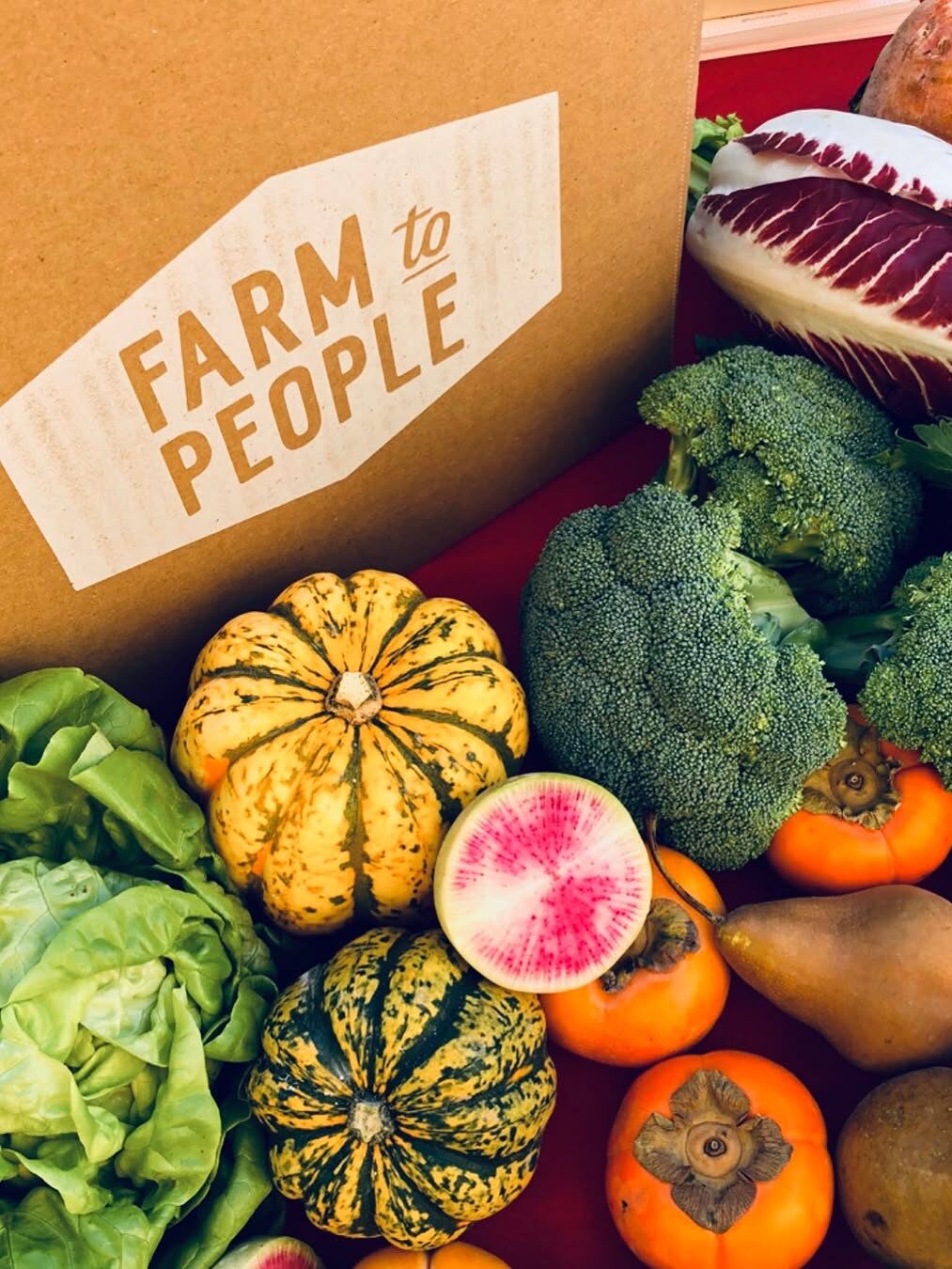 A box labeled "Farm to People" surrounded by fresh vegetables and fruits, including broccoli, squash, watermelon radish, lettuce, persimmons, pear, and radicchio.