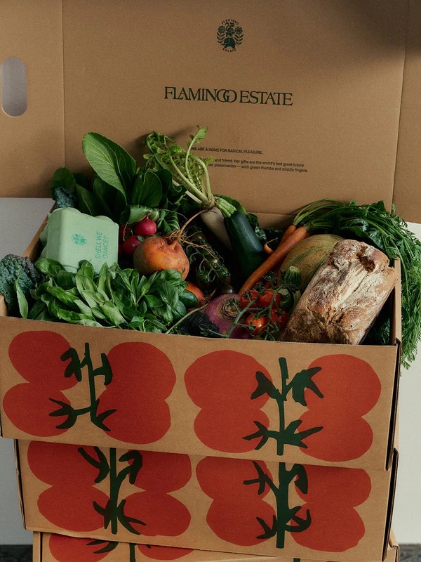 Boxes filled with assorted fresh vegetables and a loaf of bread.